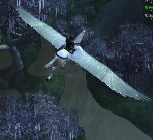 Picture of a flight on a pegasus.