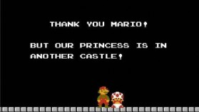 Mario Bros: The princess is in another castle.