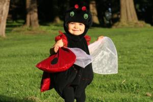 A cute ladybug outfit