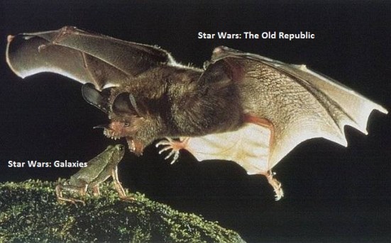 SWG Frog vs SWOR Bat
