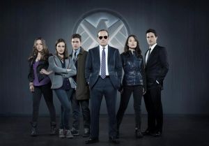 The Agents of SHIELD team. Skye, Simmons, Fitz, Coulson, May and Ward. Too many people for covert operations, too few for an effective taskforce.