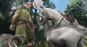 It's a magic elf talking to a fancy horse and possibly magic goats. You know, typical MMO stuff. 